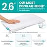 Blissbury Ultra Thin 2.6-Inch Premium Memory Foam Stomach Sleeping Pillow