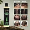 L'Oreal Paris EverPure Thickening Sulfate-Free Shampoo with Rosemary Leaf