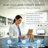 7000mAh Triple Wavelength Cold Laser Therapy Device for Deep Tissue Pain