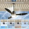 Amico 42-Inch IP65 Waterproof Plug-In Ceiling Fan with Reversible DC Motor