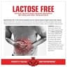 MuscleMeds CARNIVOR Beef Protein Isolate Powder, Sugar-Free, Chocolate