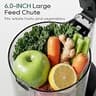 Canoly C16 Cold Press Masticating Juicer with 6-Inch Extra-Wide Chute