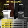 T-SUN 100-Lumen Cool White Solar Post Cap Lights with Heavy-Duty ABS, 2-Pack