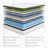BedStory 14-Inch Hotel Collection Hybrid Medium Firm Mattress for Pain Relief