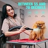 5.2HP 3800W Adjustable Speed Pet Grooming Force Blower with Temperature Control