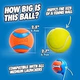 Chuckit! Ultra Ball Natural Rubber Interactive Fetch Dog Toy (Medium, 2-Pack)