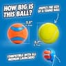 Chuckit! Ultra Ball Natural Rubber Interactive Fetch Dog Toy (Medium, 2-Pack)