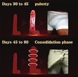 Irvy MED3000 ULTRA Enlargement Cream with Cistanche for Men's Stamina