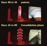 Irvy MED3000 ULTRA Enlargement Cream with Cistanche for Men's Stamina