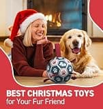 QDAN 6-Inch Interactive Dog Soccer Ball with Durable Nylon Grip Straps