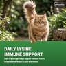 Vetoquinol Viralys Daily L-Lysine Maple Flavored Gel for Cats and Kittens, 5oz