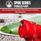 Red Lion RL-SPRK150 Cast Iron Sprinkler & Irrigation Pump, 1.5 HP, 71 GPM
