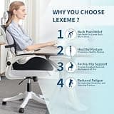 Lexeme Extra Large Memory Foam Seat Cushion and Lumbar Support Pillow Set