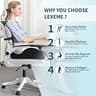 Lexeme Extra Large Memory Foam Seat Cushion and Lumbar Support Pillow Set