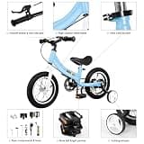 bikeboy 3-in-1 Toddler Balance to Pedal Bike with Training Theory Design
