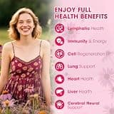 Mulittea 11-in-1 Lymphatic Support Drops with Echinacea and Raspberry