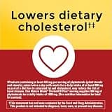 Nature Made CholestOff Plus with Plant Sterols & Stanols, 100 Softgels