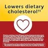 Nature Made CholestOff Plus with Plant Sterols & Stanols, 100 Softgels