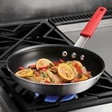 Tramontina Professional 10-Inch Heavy-Gauge Aluminum Nonstick Frying Pan