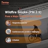 Temtop M2000 Professional Air Quality Tester with PC Export Function