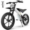 Acecruisers 36V 500W Brushless Electric Dirt Bike with Dual Suspension