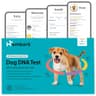 Basepaws Dog DNA Testing Kit - Mixed Breed Heritage & Next-Generation Sequencing