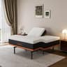 ESHINE Split-Top Queen Adjustable Frame with Plush 14-Inch 5.5-Layer Hybrid Foam Mattress
