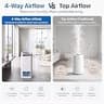 Afloia 2-in-1 Mist-Free Evaporative Humidifier and Air Purifier Combo