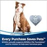 Bissell CleanView Swivel Pet 2252 Upright Bagless Vacuum with Triple Action Brush