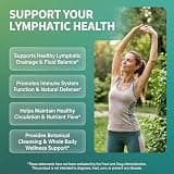 Clean Nutraceuticals Lymph Drain Capsules with Ashwagandha & Black Seed Oil