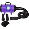 Flying Pig High Velocity Professional Dog Grooming Blower with Heater