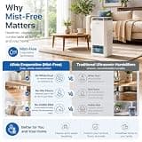 Afloia 2-in-1 Mist-Free Evaporative Humidifier and Air Purifier Combo