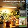 62-Inch 8-Tier S-Shaped Indoor Plant Stand with Full-Spectrum Grow Lights