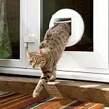SureFlap Microchip Cat Flap with 32-Pet Memory and One-Button Programming