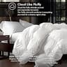 Luxurious King Size Baffle Box Goose Down & Waterfowl Feather Comforter, 58oz