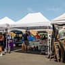 Crown Shades 10x15 Commercial Heavy Duty Pop Up Canopy Tent with Four Sidewalls