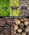 Truvani Organic Plant-Based Vegan Protein Powder, Premium Vanilla Extract