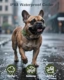 Jugbow Dog Shock Collar with 4500-Foot Range and IPX8 Waterproof Rating