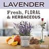 Mrs. Meyer's Clean Day Lavender Scented Soy Wax Candle, 7.2 Ounces (2-Pack)