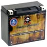Pirate Battery YTX20HL-BS Maintenance-Free 12V 19Ah AGM Marine Battery