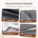 Comfort Expression Extra Large Orthopedic Dog Bed with Removable Custom Comfort Bolsters