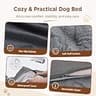 Comfort Expression Extra Large Orthopedic Dog Bed with Removable Custom Comfort Bolsters
