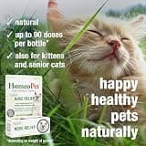 HomeoPet Feline Nose Relief Natural Liquid Drops for Sinus Support, 15 Milliliters