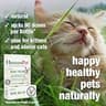 HomeoPet Feline Nose Relief Natural Liquid Drops for Sinus Support, 15 Milliliters