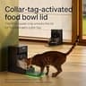 PETLIBRO RFID Smart Automatic Pet Food Dispenser with App Meal Logging