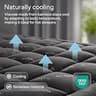 Niagara Sleep Solution Ultra Soft Bamboo Rayon Mattress Topper, Queen Size