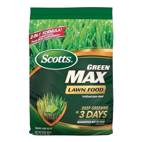 The 7 Best St. Augustine Fertilizers of 2026