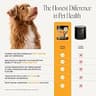 Premium Dog Allergy Relief Immunity Chews with Salmon Oil & Probiotics, 90 Ct