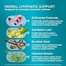 PureHealth Research Lymph System Support Capsules, Professional Grade Formula