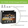 Weize YTX20L-BS Sealed AGM Maintenance-Free High Performance 12V Battery